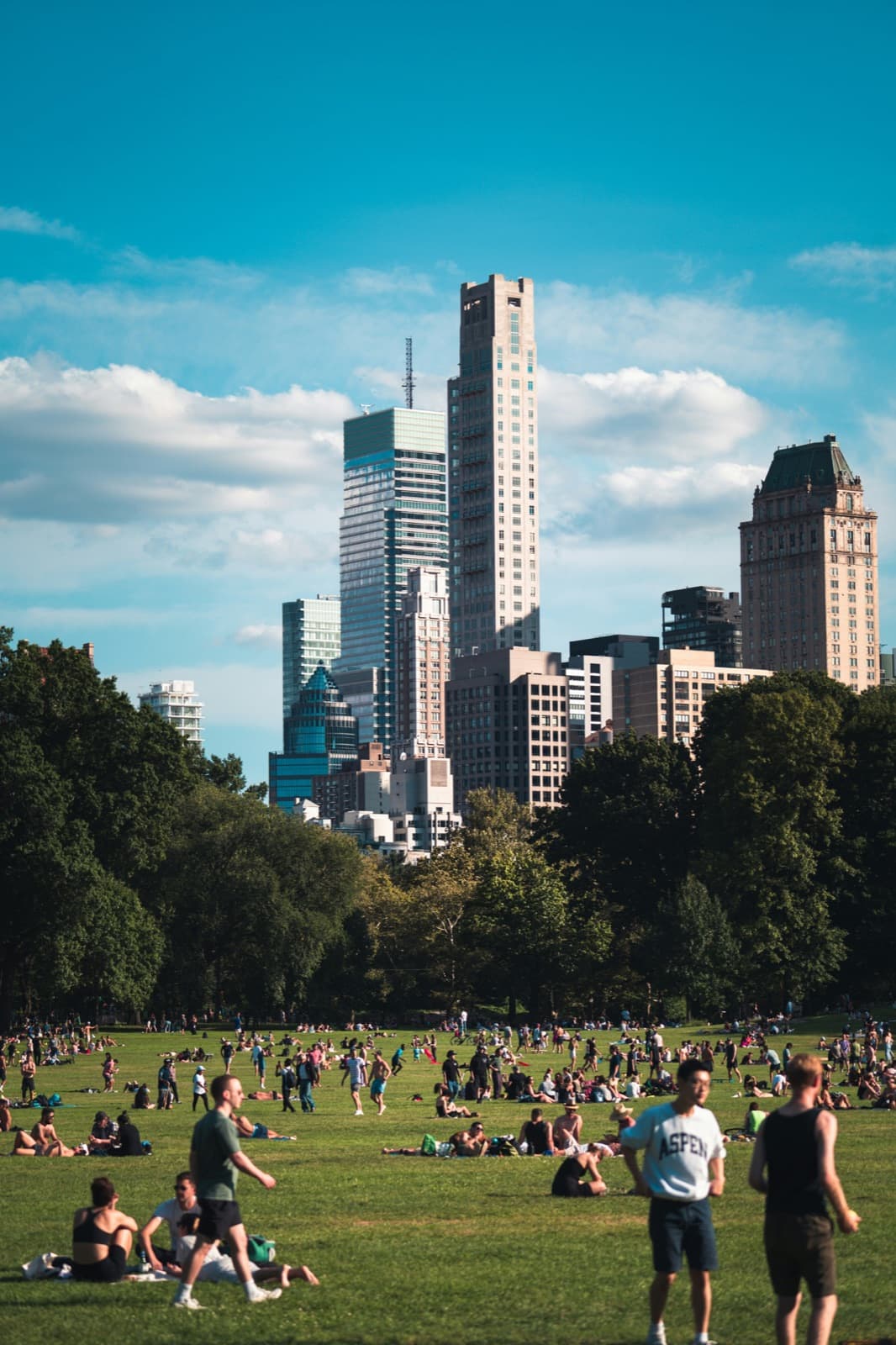 Central Park con el césped y el skyline de Manhattan al fondo